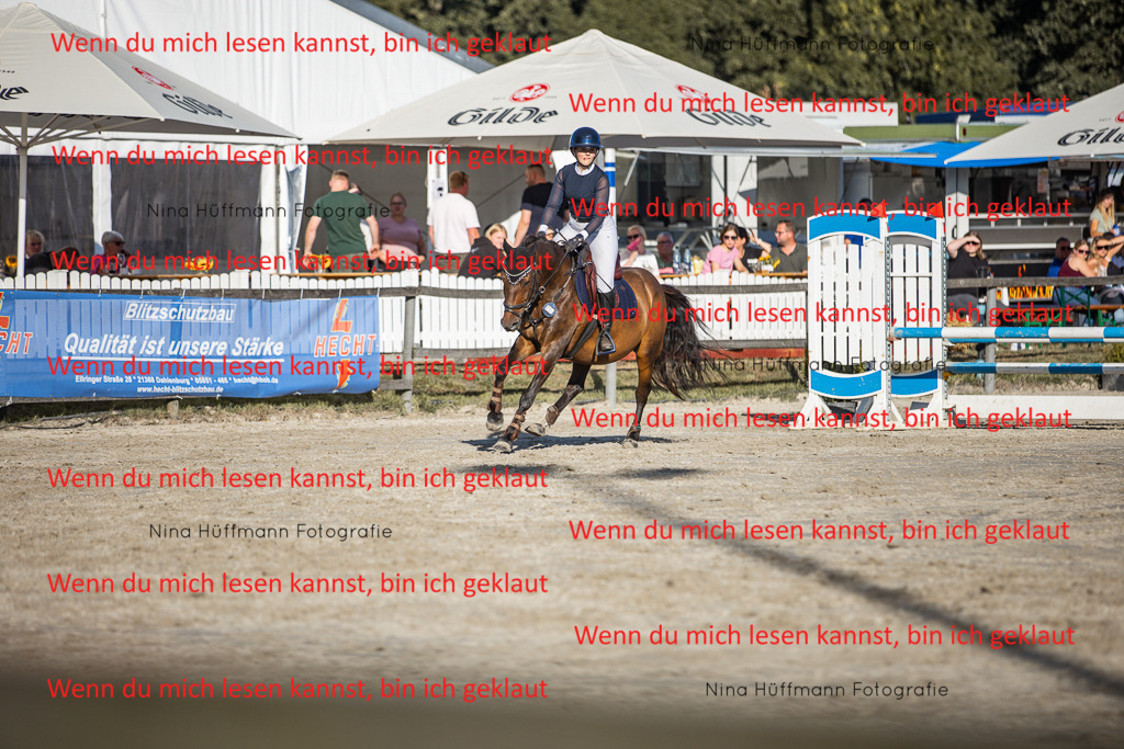 BK1A7831 | Turnierbilder Turnierfotos Nina Hüffmann Turnierfotografie Pferdefotografie Tierzeichnung Haustierzeichnung Pferdezeichnung Hundezeichnung Videograf  - Realisiert mit Pictrs.com