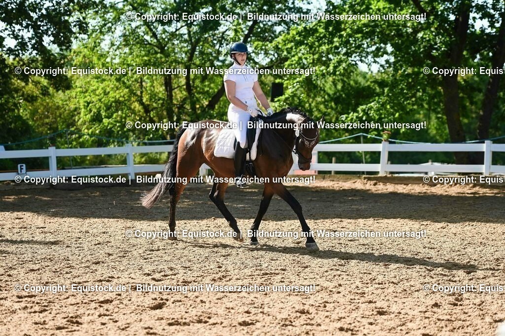 20230715_06_Dressurpferdeprfg. Kl.A_0272 | equistock