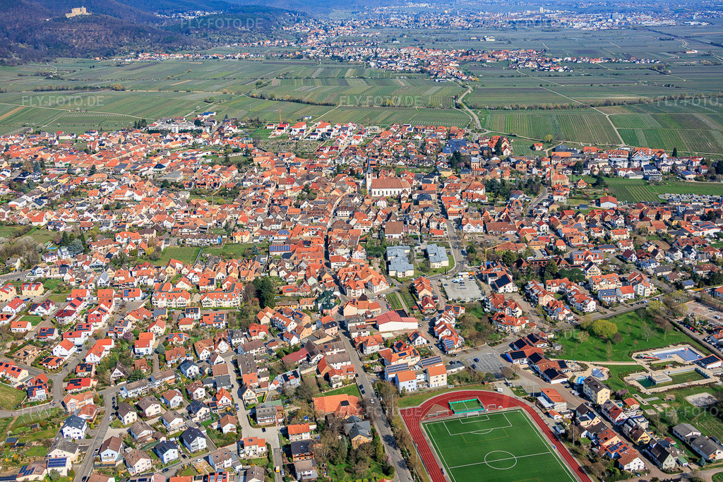 Luftbild: Ortsansicht von Süden in Maikammer im Bundesland Rheinland-Pfalz in Deutschland. Foto: IMG_153472.jpg vom 23.03.2026 durch Werner Riehm/FLY-FOTO.deAuflösung des Originals: 5804 x 3869 px