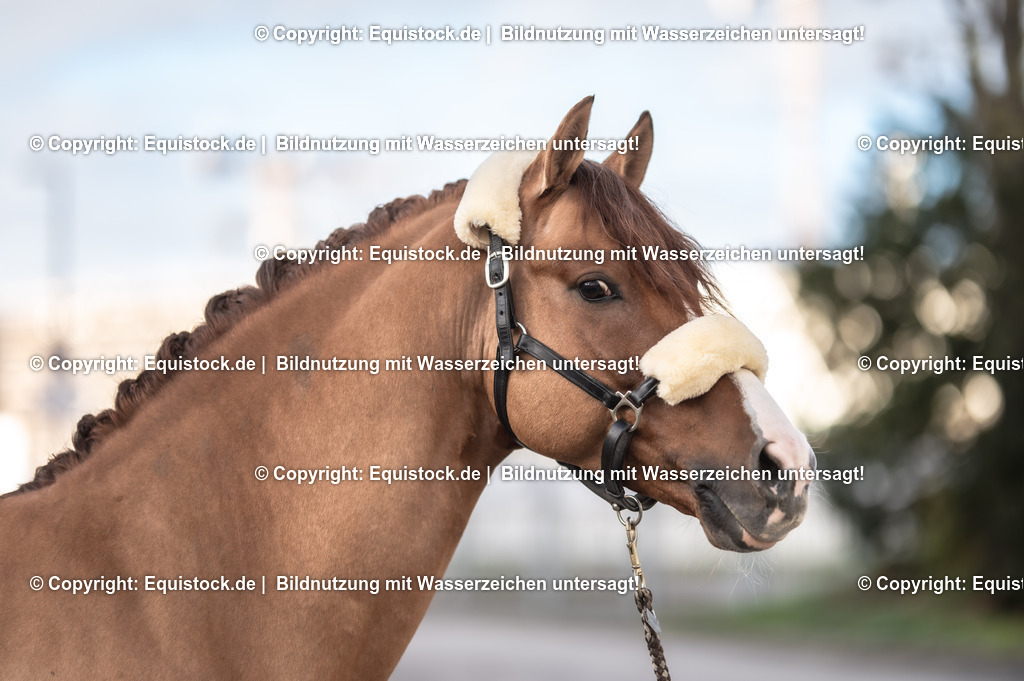 20231115_Ann-Cathrin-Rieg_und_Derrick_0020_TOMsPiC | Foto: Thomas Hartig