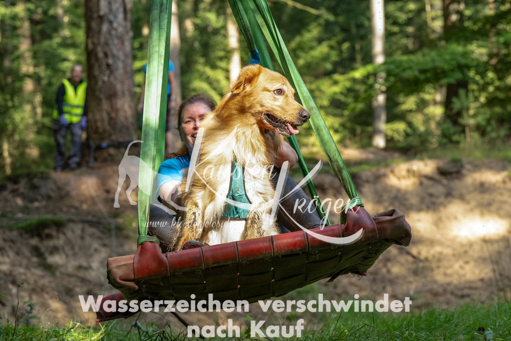 1117_ZZ94601-Bearbeitet | kk-dogfotos