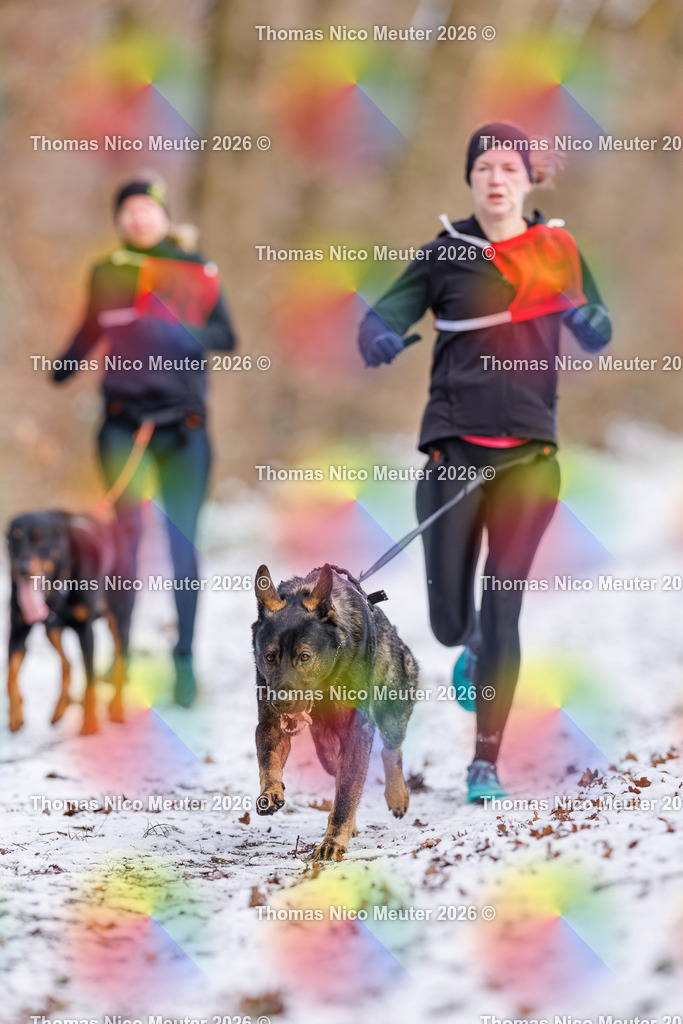 Thomas_Nico_Meuter(C)_223A8521 | Bild von Thomas Nico Meuter - Realisiert mit Pictrs.com