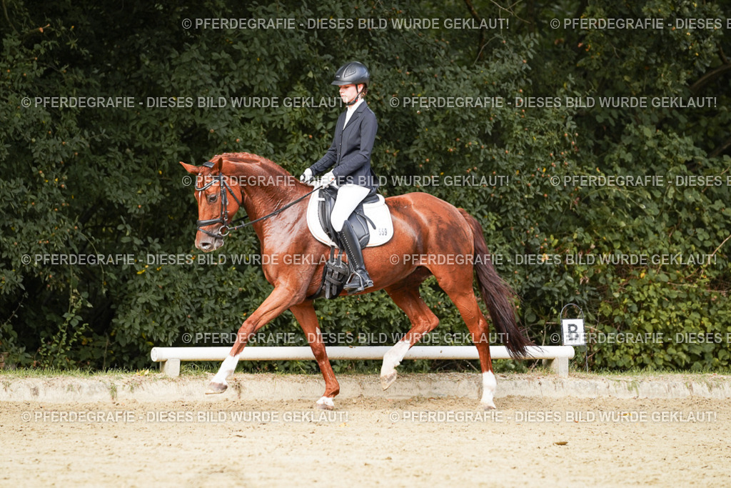 DSC03420 | Pferdegrafie