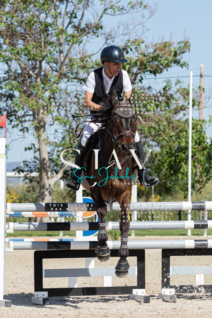 IMG_0932 | s-jay-photography - Realisiert mit Pictrs.com