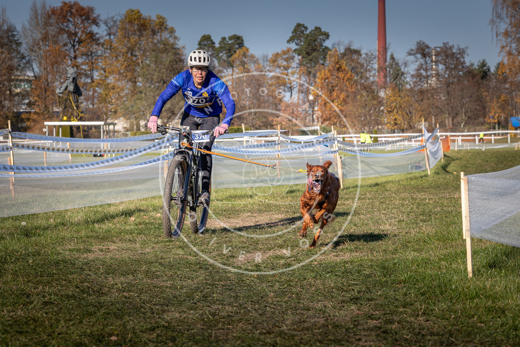 CaniXpix_0L8A6404 | Hundefotografie, Tierfotograf, Pfotenfotografie, Fotoshooting Hund, Hunde Portrait, Hundesport, Hundeportraits, Heideshooting, Hunde, Sportfotograf, Hundefotograf, Turnierhundsport, THS,  - Realisiert mit Pictrs.com