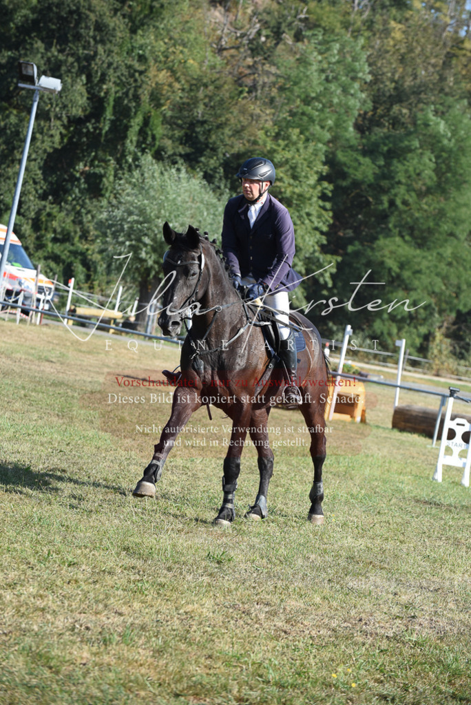 DSC_5349 | Pferde- und Turnierfotografie in Westsachsen. Pferdeportraits, Auftragszeichnungen und intuitive Kunst.