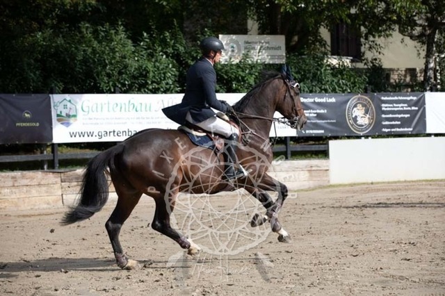 2B4A3665 | pixelfaenger - Realisiert mit Pictrs.com