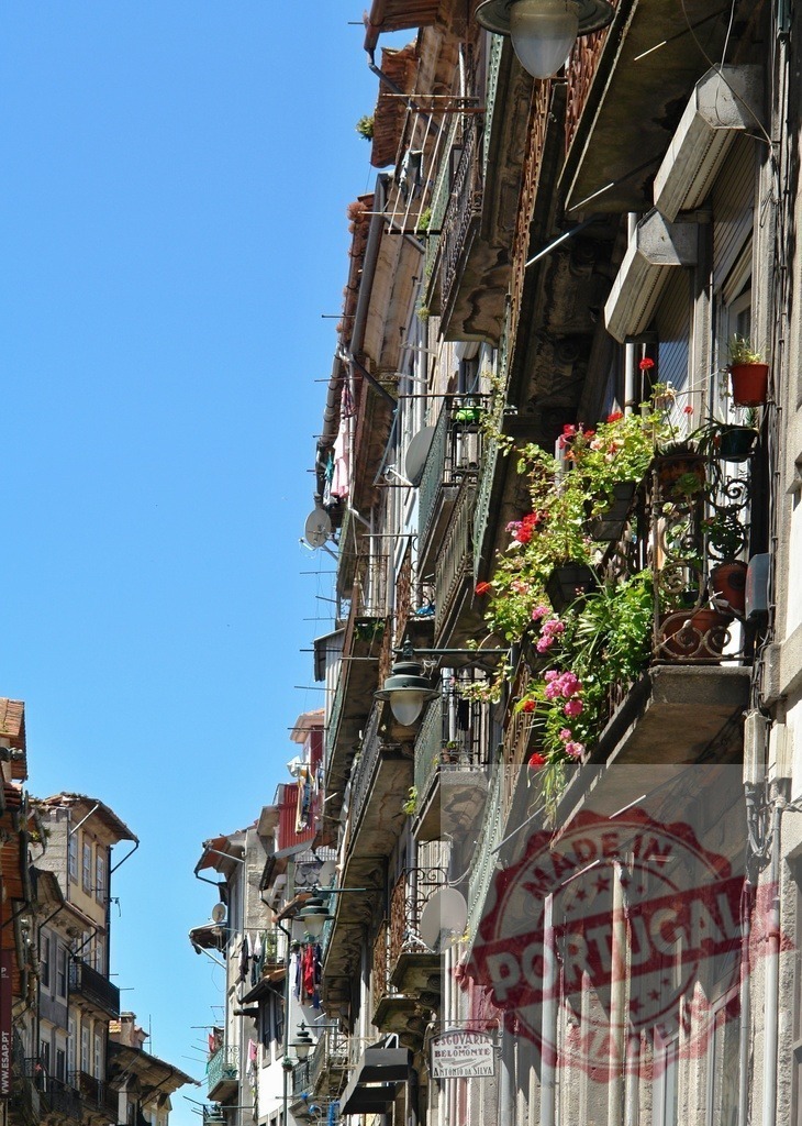Porto historic city buildings with flowering balconies | Porto Ribeira district street with old apartments and vibrant flowers under clear blue sky - Realized with Pictrs.com