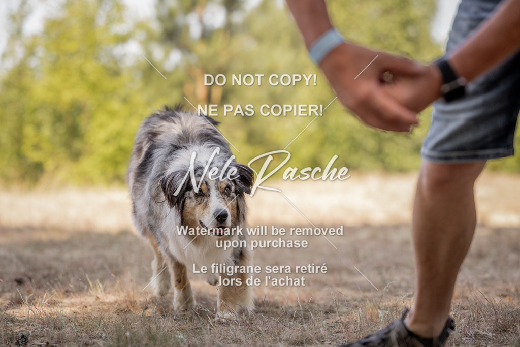 nelerasche_soDD2_89 | nelerasche