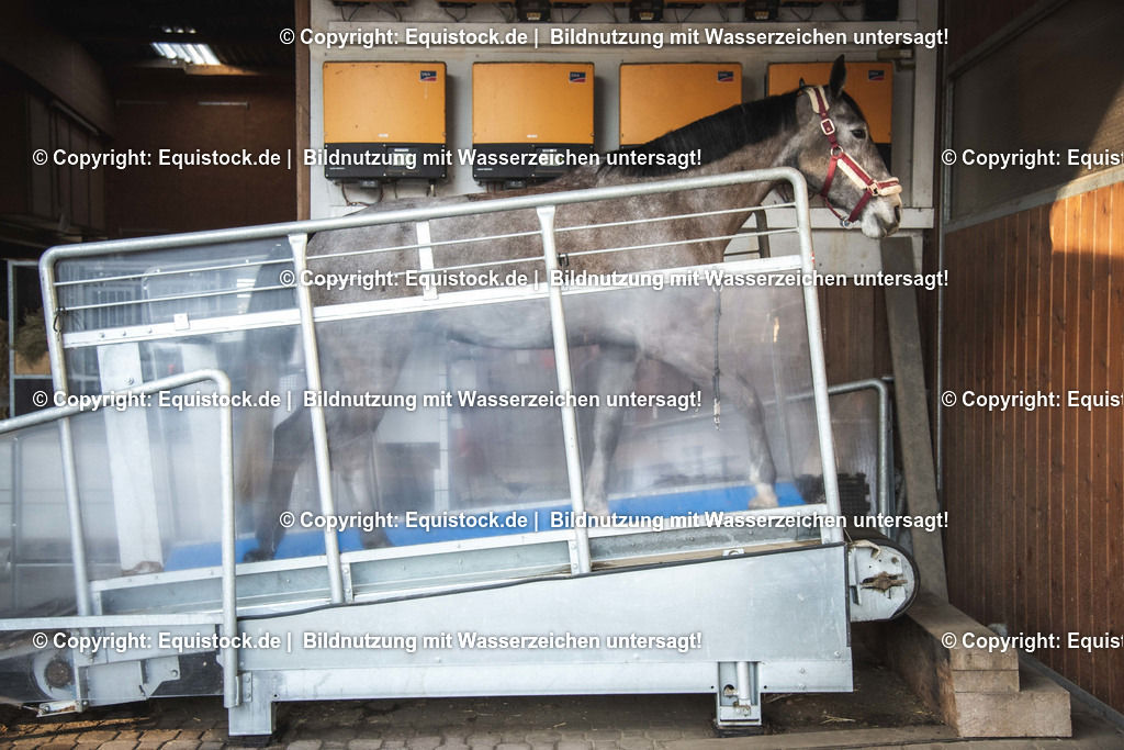 20200118_Laufband_0026 | Foto: Thomas Hartig