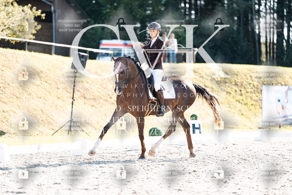 CK906564 | Turnierfotografie Pferdefotografie Trier Rheinland-Pfalz Pferdesport Reitsport Tierfotografie Sportfotografie Pferdevideo Pferdevideografie Equestrianvideography equestrianphotography  - Realisiert mit Pictrs.com