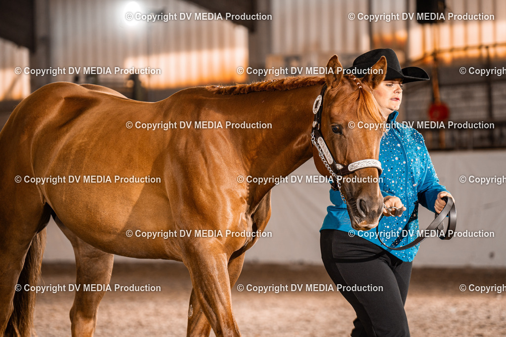 ZH100072 | dv-media-shop - Realisiert mit Pictrs.com