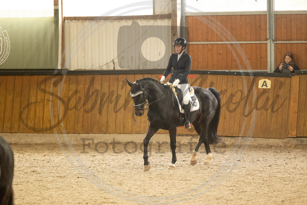 994A4238 | sabrinanicolaifotografie - Realisiert mit Pictrs.com