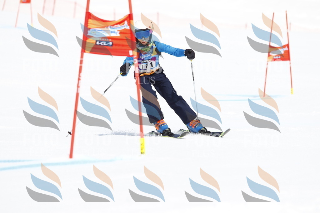 _U3G4518 | holidayphoto