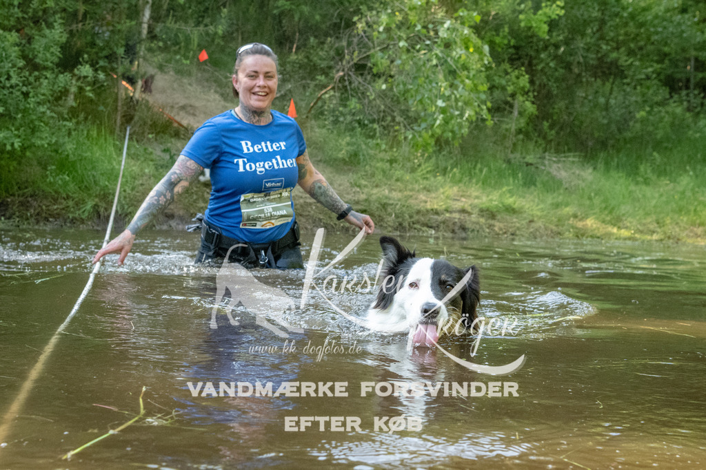 1738DKK992289 | kk-dogfotos