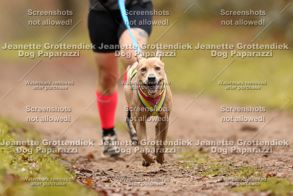 Dog Paparazzi - Speedhunter Mannheim  2025-81 | Dog Paparazzi Jeanette Grottendiek Fotografie & Videografie