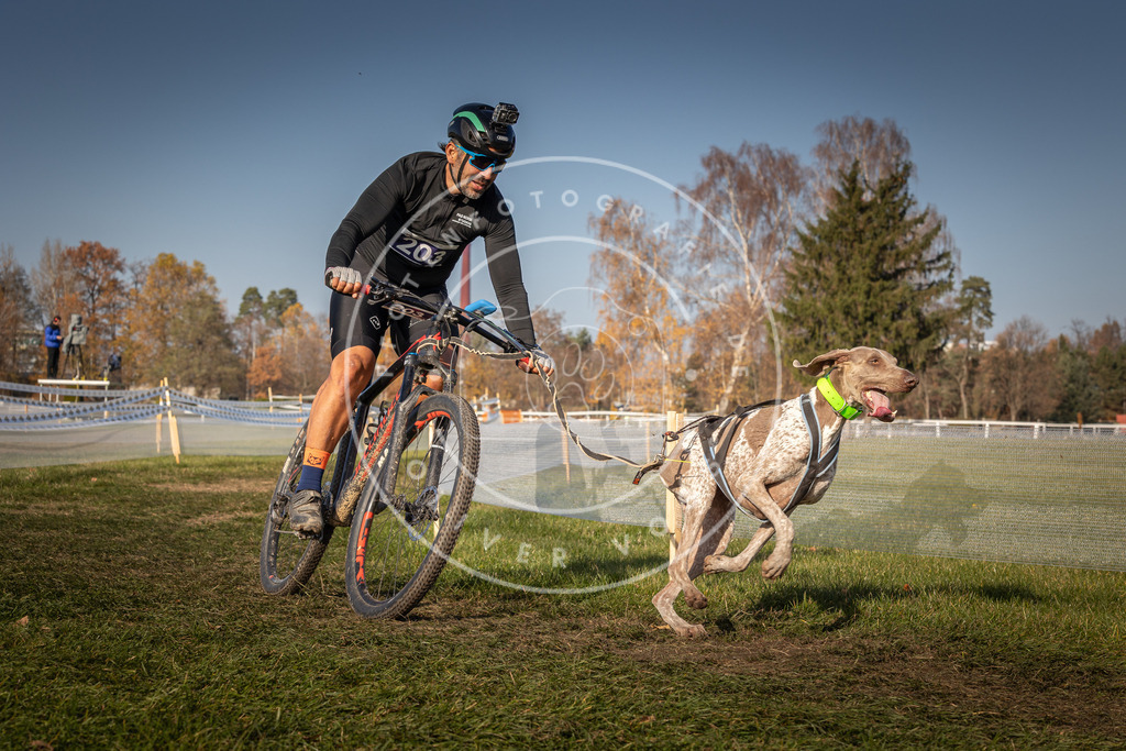 CaniXpix_0L8A7839 | Hundefotografie, Tierfotograf, Pfotenfotografie, Fotoshooting Hund, Hunde Portrait, Hundesport, Hundeportraits, Heideshooting, Hunde, Sportfotograf, Hundefotograf, Turnierhundsport, THS,  - Realisiert mit Pictrs.com