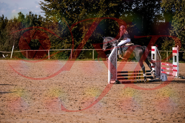 2026_10_03_Siefer-Hof_154246_Z81_60440110 | Professionelle Reitsport-, Turnier- und Eventfotografie von Robert Broda. Galerien mit ausgewählten und bearbeiteten Bildern direkt online ansehen und bestellen.