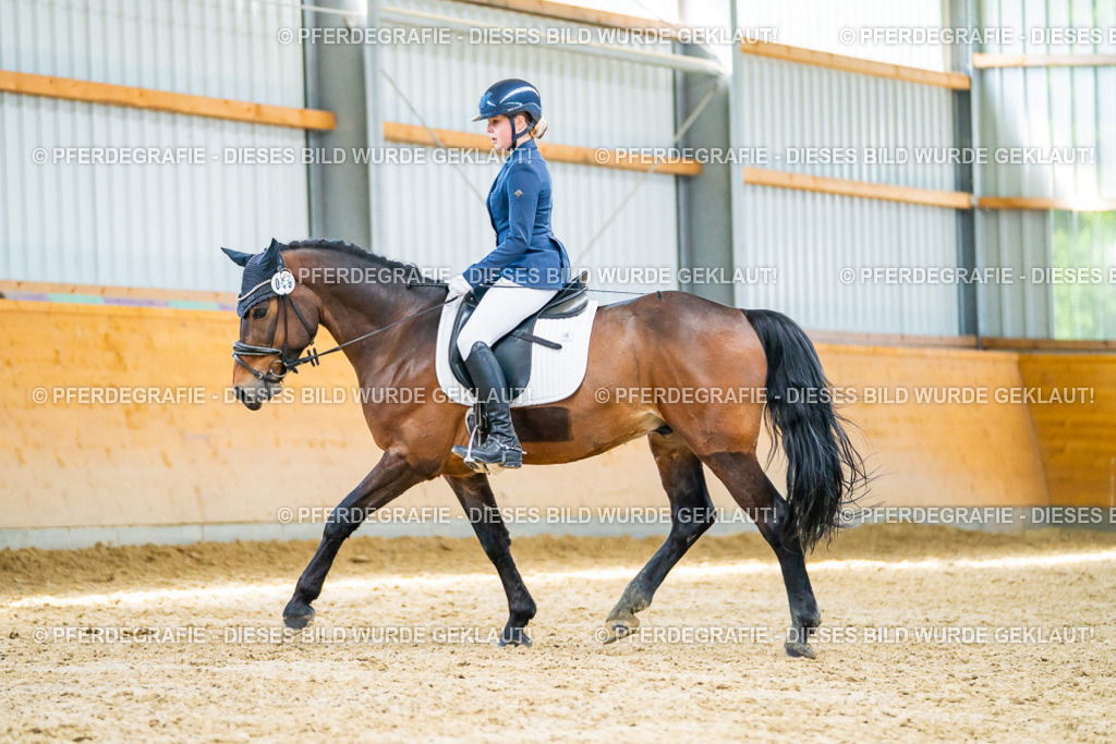 DSC08285 | Pferdegrafie