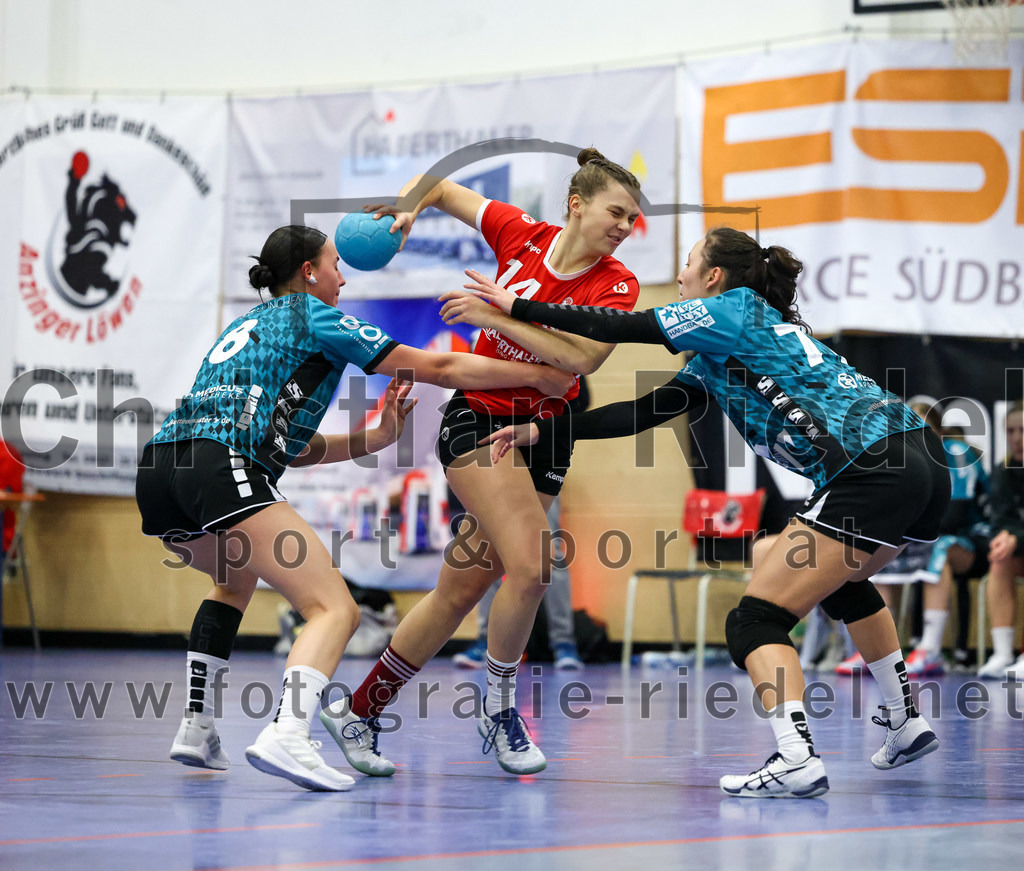 2022-11-27_049_SV_Anzing_gegen_HT_Muenchen_II | Anzing, Deutschland, 27.11.2022:
Handball, Bezirksliga 2022 / 2023, 7. Spieltag, SV Anzing gegen HT München II, Endergebnis: 28:32

Helena Dannheim (HT München, #8), Elena Holzmann (SV Anzing, #14), Bianca Serg (HT München, #77)

Foto: Christian Riedel / fotografie-riedel.net