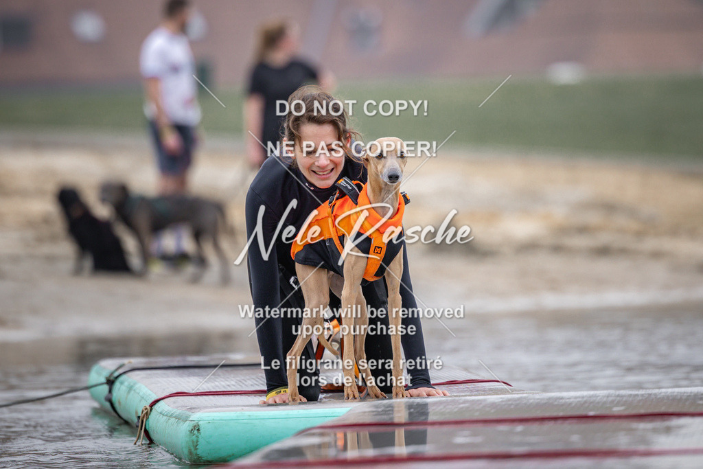 nelerasche_Hulsbeek_Sa0845-1030_252 | nelerasche