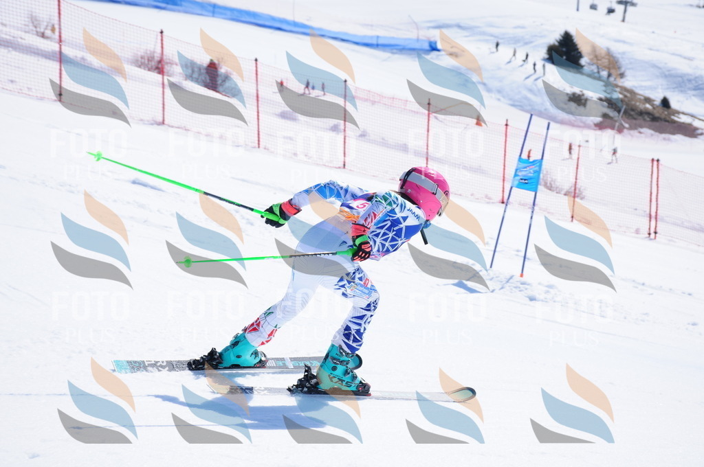 DSC_4272 | holidayphoto