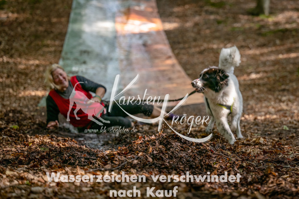 1226_ZZ90130-Bearbeitet | kk-dogfotos