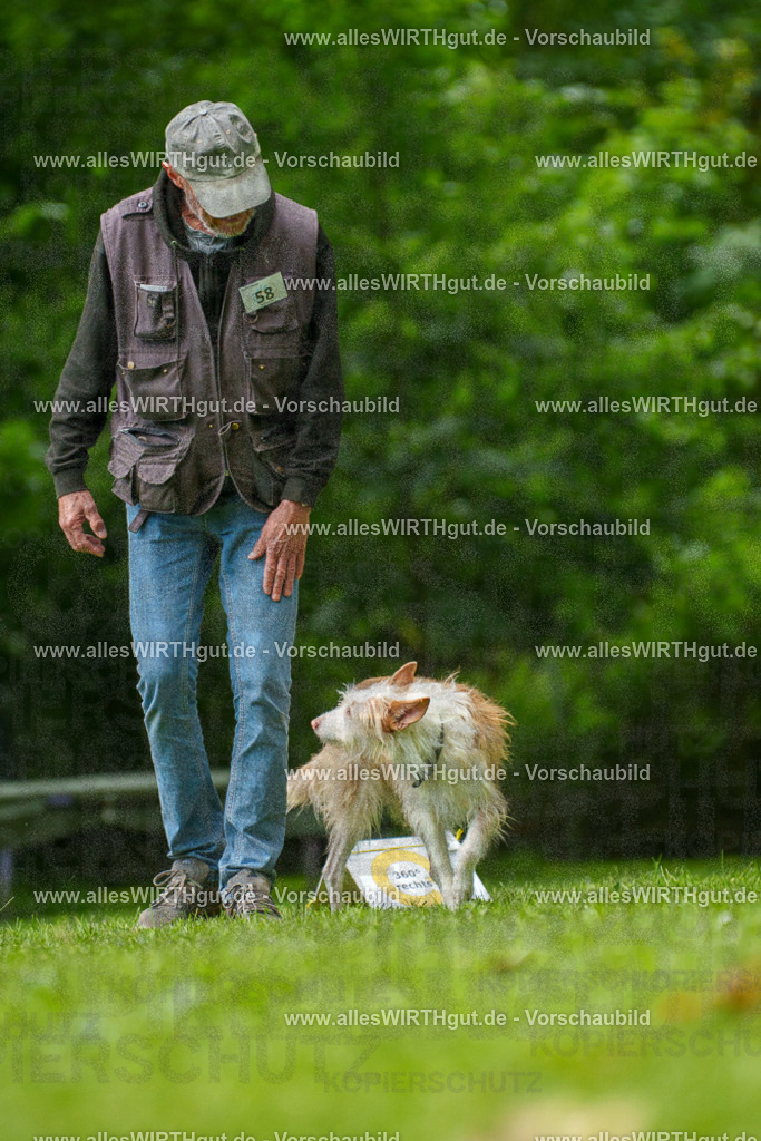 @allesWIRTHgut_Tierfotografie - www.allesWIRTHgut.de - 7R501292 | Professionelle Tierfotografie in Mönchengladbach von Daniel Wirth (allesWIRTHgut). Liebevolle & natürliche Bilder von Hunden & Katzen für unvergessliche Erinnerungen.