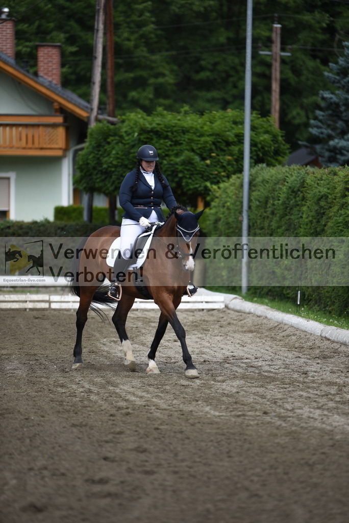 DSC_3997 | equestrian-live-com