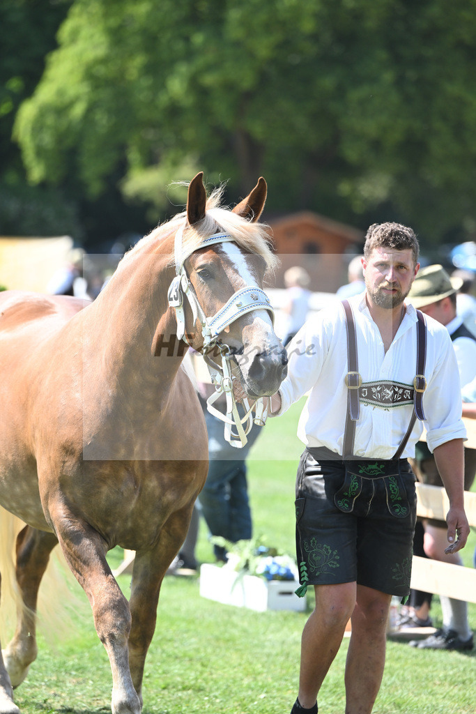Kat-Nr. 23 Mercedes_Hoeck_20230381 | hf-fotografie - Realisiert mit Pictrs.com