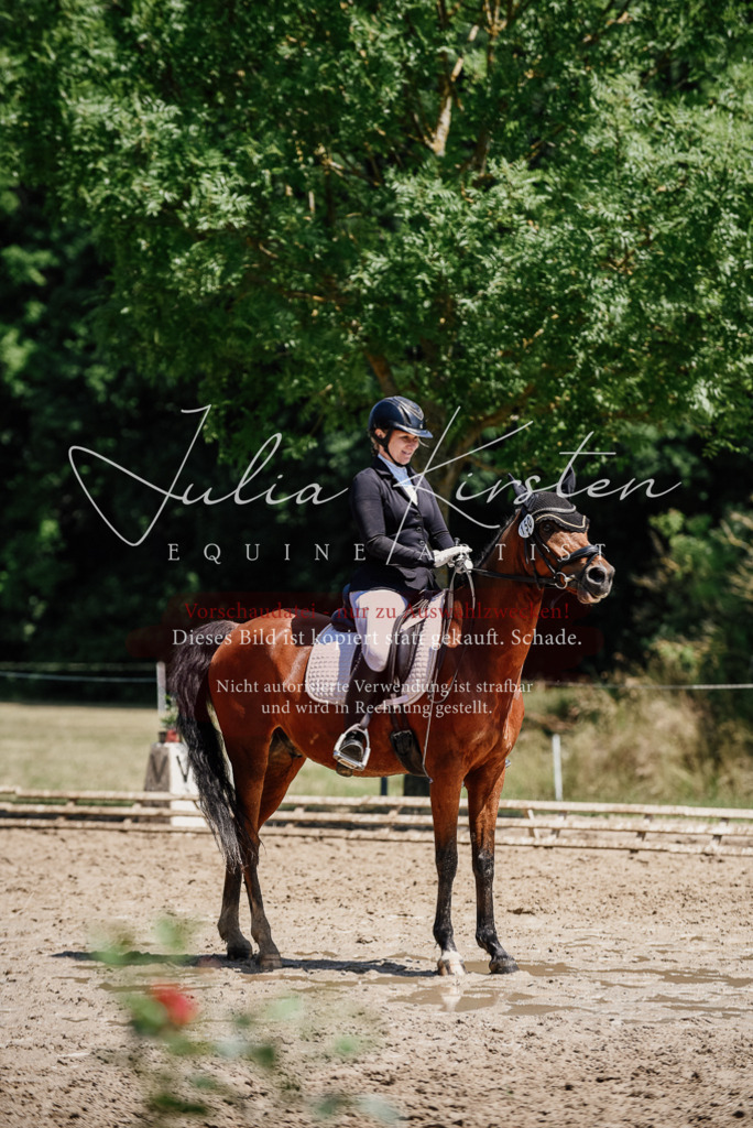 DSC_1866 | Pferde- und Turnierfotografie in Westsachsen. Pferdeportraits, Auftragszeichnungen und intuitive Kunst.
