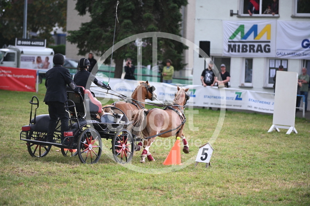 DSC_8664 | sattelsport - Realisiert mit Pictrs.com