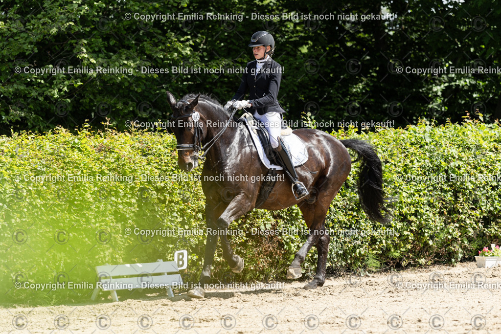 CL5A8120 | Emilia Reinking Fotografie - Realisiert mit Pictrs.com