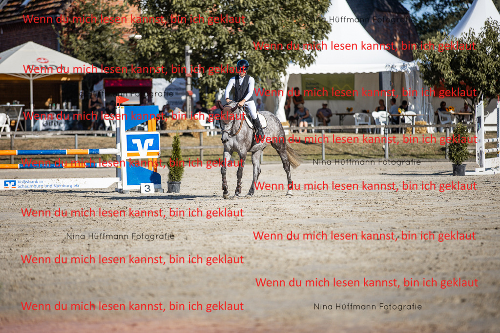 BK1A7521 | Turnierbilder Turnierfotos Nina Hüffmann Turnierfotografie Pferdefotografie Tierzeichnung Haustierzeichnung Pferdezeichnung Hundezeichnung Videograf  - Realisiert mit Pictrs.com