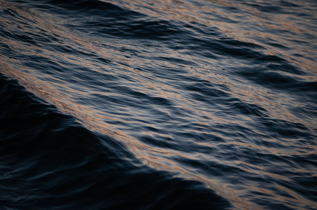 DSC_0578 | kaefersammler_roy - Realisiert mit Pictrs.com