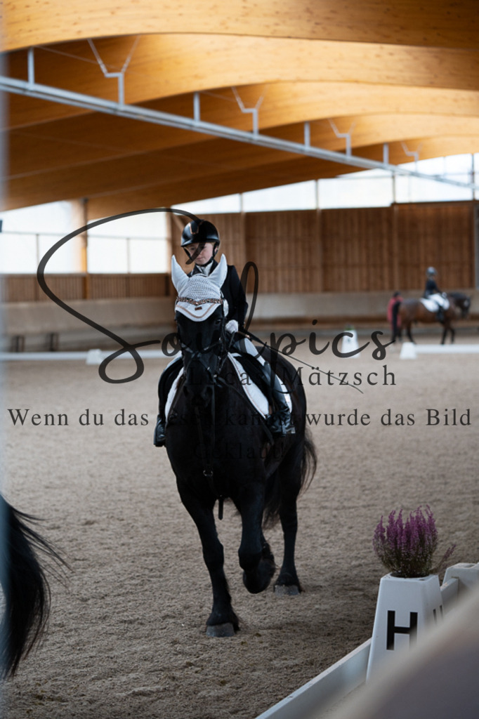 A7V02820 | Pferdefotograf