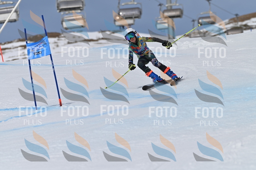 BGV_5935 | holidayphoto