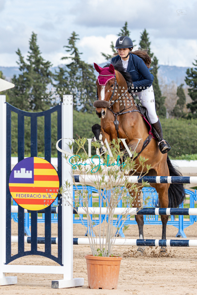 IMG_2630 | s-jay-photography - Realisiert mit Pictrs.com