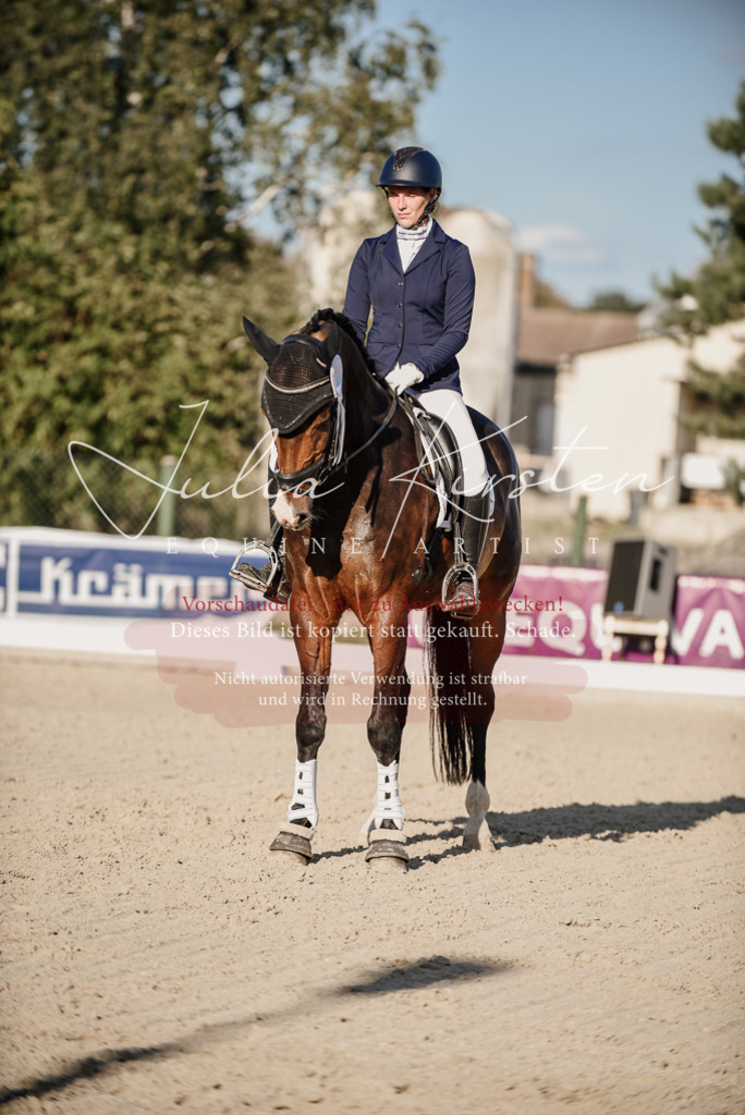DSC_0707 | Pferde- und Turnierfotografie in Westsachsen. Pferdeportraits, Auftragszeichnungen und intuitive Kunst.