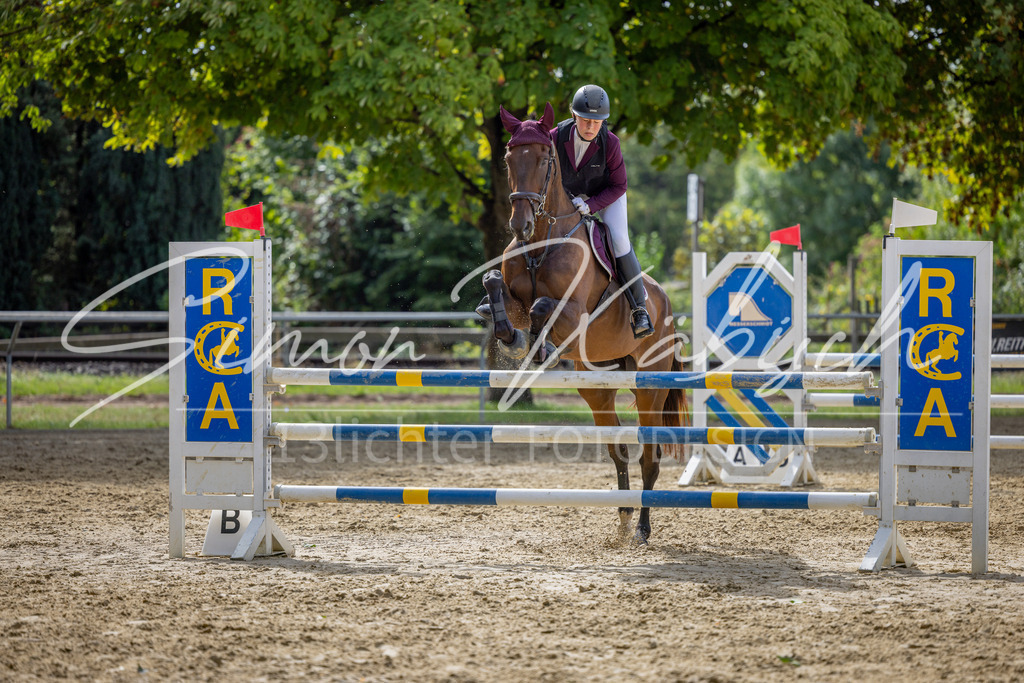 20260905-_3LI7623 | Tierfotografie Pferde, Hunde, Katzen, Haustiere.
Turnierfotografie Reitturniere, Reiten, Springreiten, Dressur in Hanau, dem Main-Kinzig-Kreis und dem Rhein-Main- Gebiet um Frankfurt