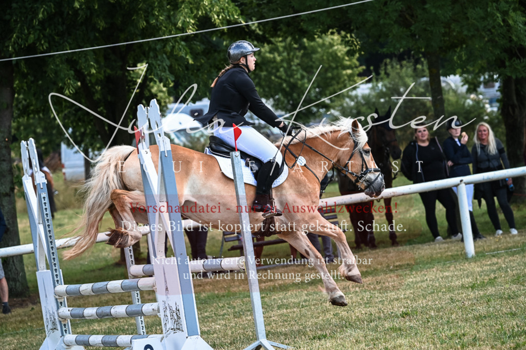 DSC_8101 | Pferde- und Turnierfotografie in Westsachsen. Pferdeportraits, Auftragszeichnungen und intuitive Kunst.