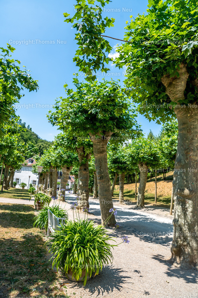 DSC_6096 | Der Staatspark Fürstenlager in Bensheim Auerbach, an der hessischen Bergstraße- ist ein wunderschöner Landschaftspark nach englischen Vorbild. Es war die Sommerresidenz der Darmstädter Fürstenfamilie die hier das "einfache Landleben" genossen. Zu jeder Jahreszeit kann man das Fürstenlager als Ausflugsziel empfehlen. Im Herrenhaus ist eine Gastronomie untergebracht. Im Sommer findet auf der Bühne vor der großen Wiese ein Opern-Air statt, 