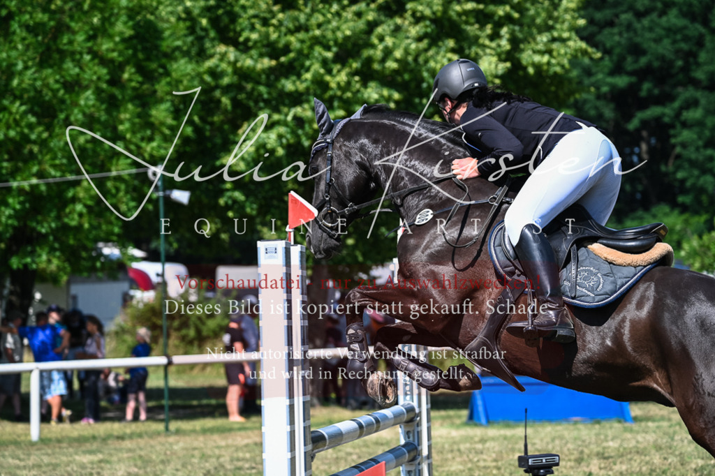 DSC_1638 | Pferde- und Turnierfotografie in Westsachsen. Pferdeportraits, Auftragszeichnungen und intuitive Kunst.