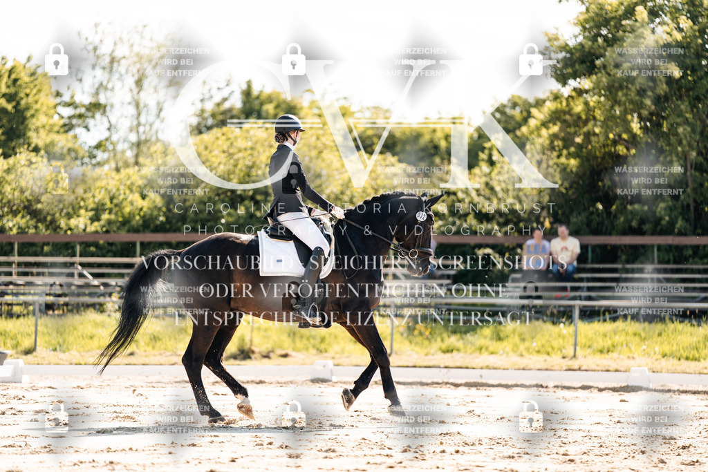 CK909257 | Turnierfotografie Pferdefotografie Trier Rheinland-Pfalz Pferdesport Reitsport Tierfotografie Sportfotografie Pferdevideo Pferdevideografie Equestrianvideography equestrianphotography  - Realisiert mit Pictrs.com
