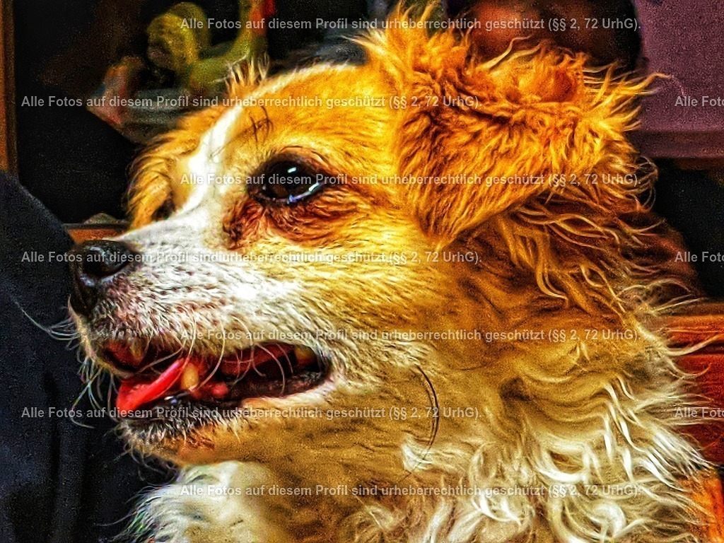 PXL_20210320_183102400-01-01 | krollfotografie - Realisiert mit Pictrs.com