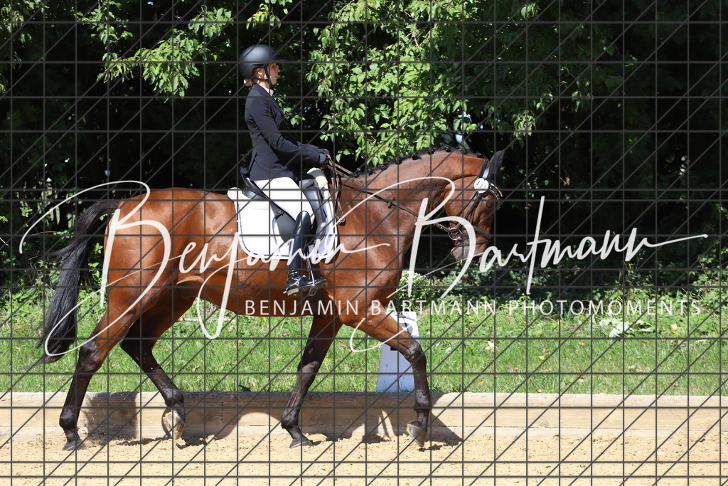 IMG_6562 | Benjamin Bartmann Photomoments