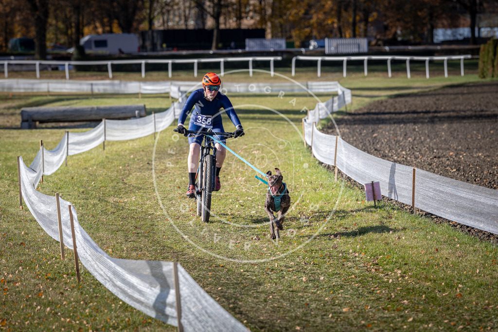 CaniXpix_DV3A7310 | Hundefotografie, Tierfotograf, Pfotenfotografie, Fotoshooting Hund, Hunde Portrait, Hundesport, Hundeportraits, Heideshooting, Hunde, Sportfotograf, Hundefotograf, Turnierhundsport, THS,  - Realisiert mit Pictrs.com