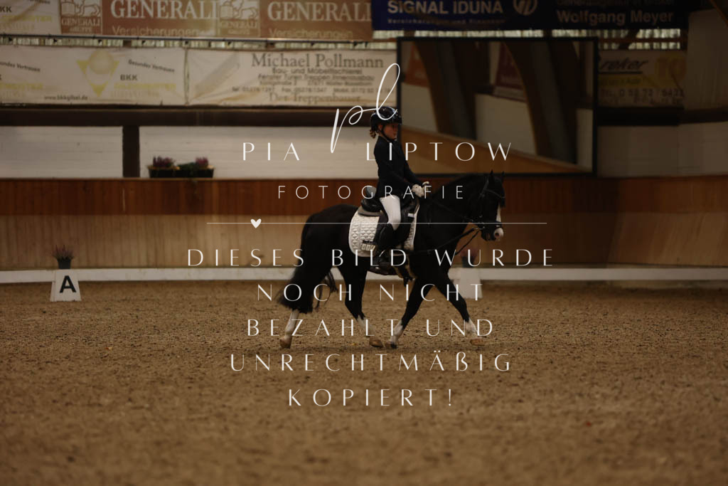 IMGM9122 | pl-fotografie