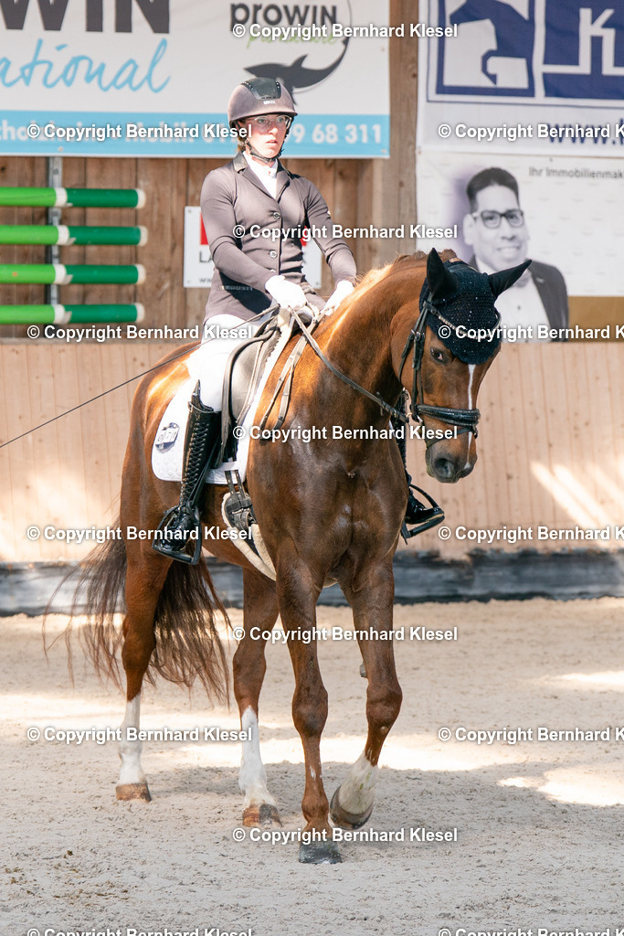 2A902320 | foto-team-bernhard - Realisiert mit Pictrs.com