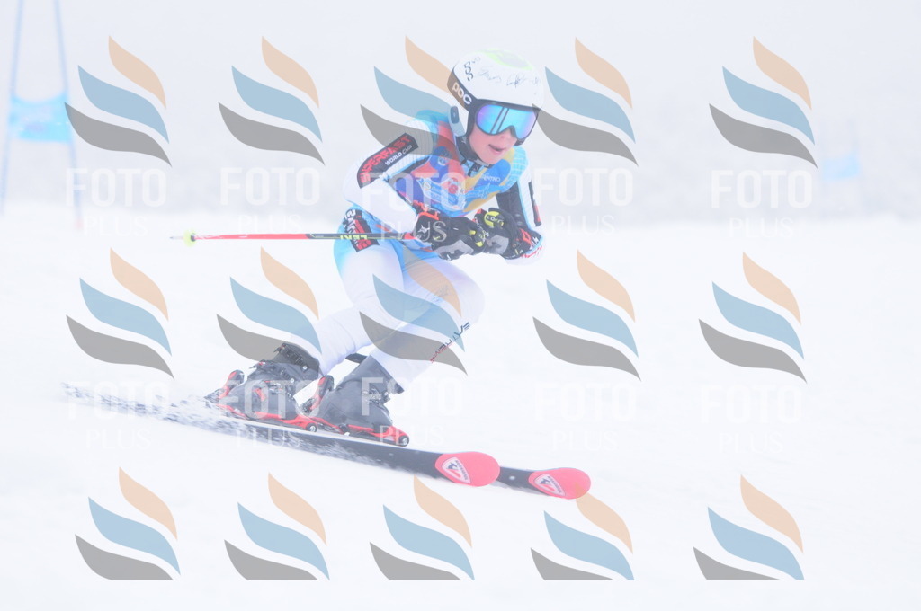 C2185 | holidayphoto